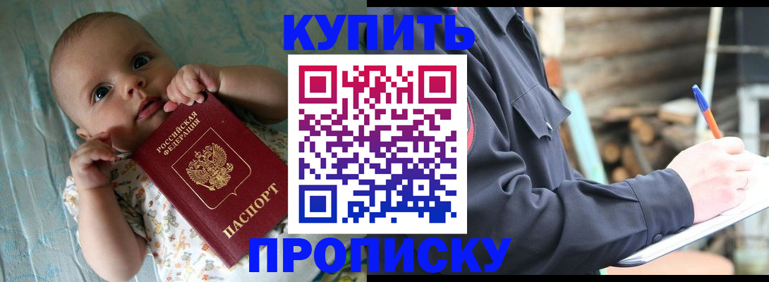 прописка поиск в Зеленогорске